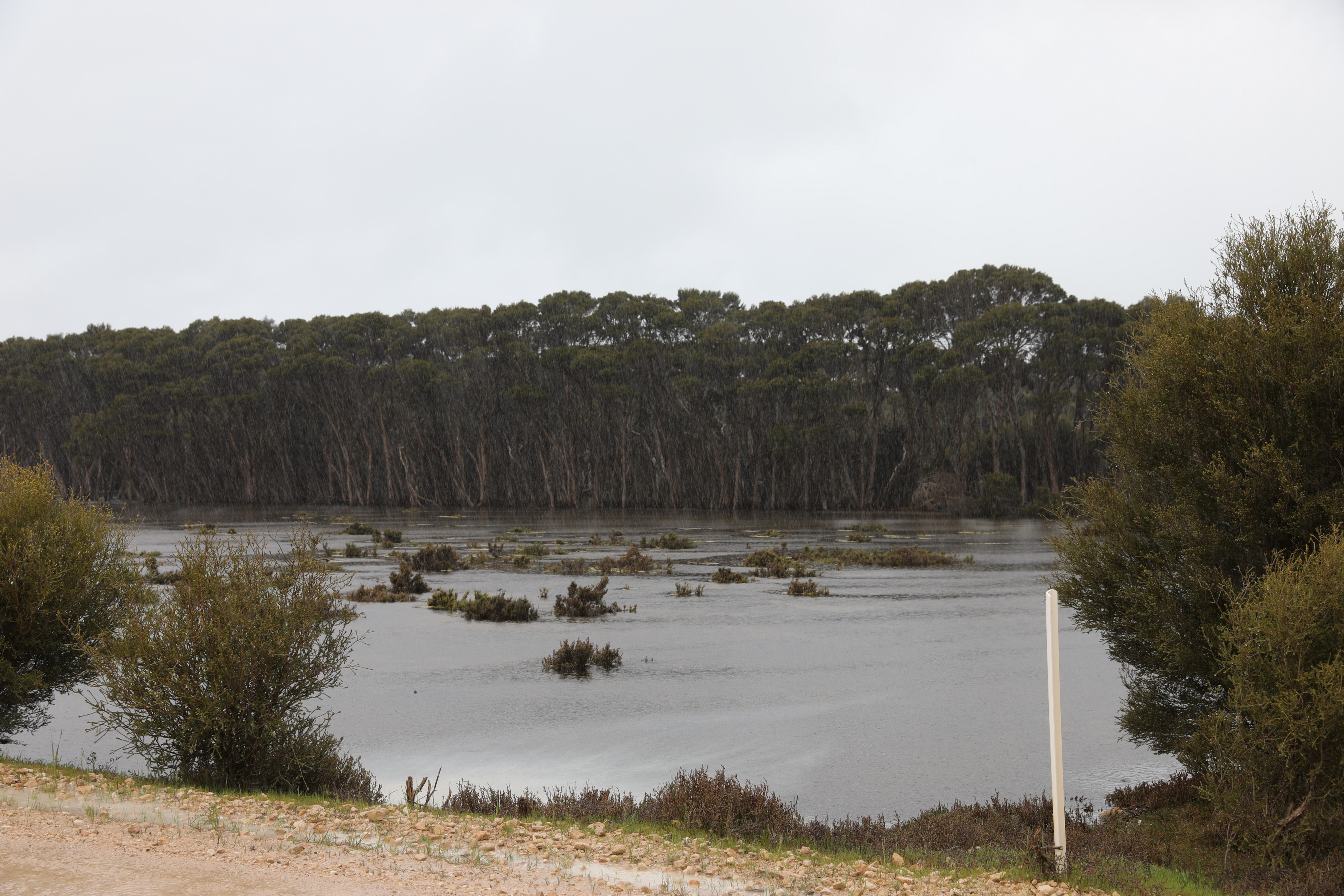 2019 10 07 12 47 19 Canon EOS 5D Mark IV 0016